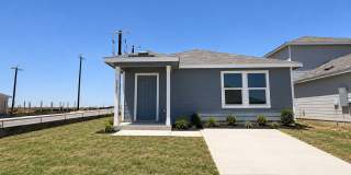 2303 Camellia Rose Gallery 1
