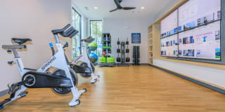 Arboretum West Gallery 23