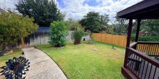 234 Gazelle Leap Gallery 27