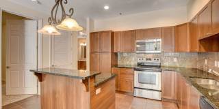 Boca Raton Gallery 29