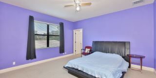 Expansive Clearwater Luxury | 6BR Pool Home w/ Solar, Outdoor Kitchen & 3+ Car Garage Gallery 54
