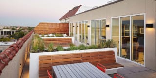 Ambassador Gallery 3