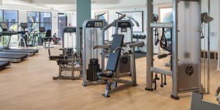 Avalon Irvine Gallery 51