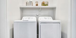 Chisholm at Tavolo Park Gallery 16