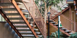 Elán Beachwalk Apartments Gallery 8