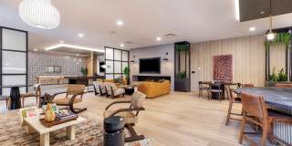 The Waylon Gallery 20