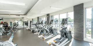 MetroMark Gallery 15