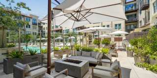 Springline Menlo Park Gallery 28