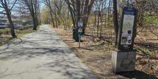 1118 Rock Street Gallery 14