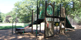 Redwood Hills Gallery 18