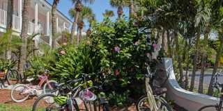 8705 Palm Tree Lane Gallery 31