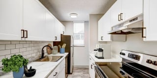 Kalo Ivywild Gallery 1