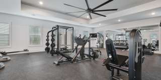 The Napier Gallery 17