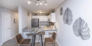 Atlantic Palms Gallery 18