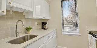 The Saratoga Gallery 4