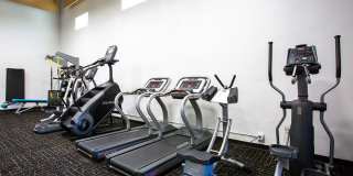 Whispering Sands Gallery 18