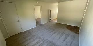 Camellia Manor Apartments Gallery 6