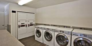 Diamond Ridge Diamond Ridge Gallery 21