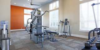 Coffey Creek Gallery 16