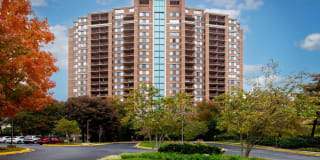 The Magnolia Gallery 35