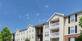 Ashley West End Gallery 10