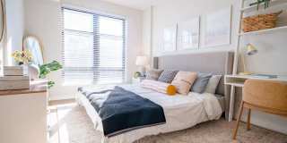 Harwood Flats Gallery 5