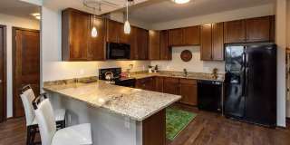 Sierra Pointe Gallery 12