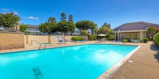 9209 Village Glen DriveUnit 146 Gallery 26