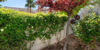 Completely Renovated Modern 4 Bd Single Story in the Trails Gallery 31