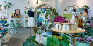 Modera Gulch Gallery 28