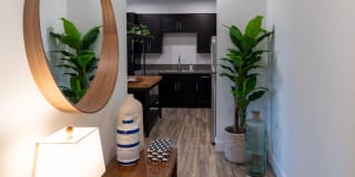 Vela Apartments Gallery 3