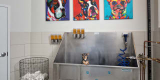 The Mastlight Gallery 17