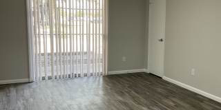 Lake Breeze Gallery 11