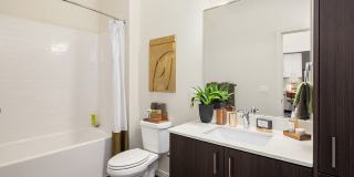 The Arbory Gallery 15