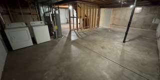 Live in the Timbers Gallery 19