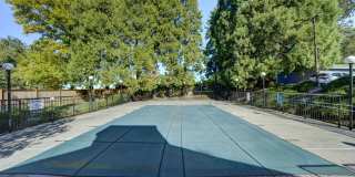 Hampton Park Gallery 10