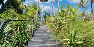 3 Bed / 3 Bath Private Mid-Century Oasis with Pool, Detached Studio & Canyon Views Gallery 37