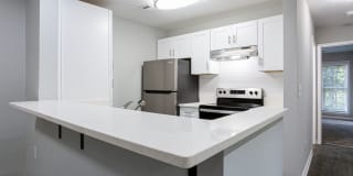 Wood Terrace Gallery 21