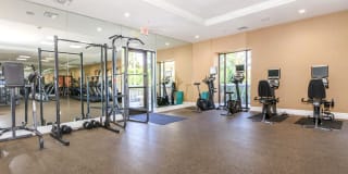 The Orsini Gallery 53