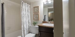 Biltmore Biltmore Gallery 49