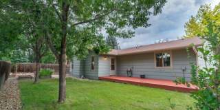 Must see House in North Longmont Gallery 4