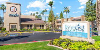 Shorebird Apartments Gallery 1