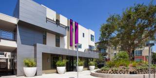 Residences at Westgate Gallery 13