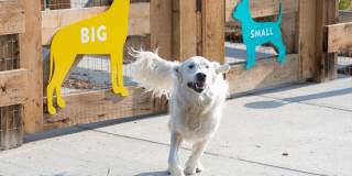 The Lanterns at Brighton Crossings Gallery 10