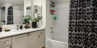 Alaire Apartment Homes Gallery 13