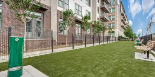 Hazel by the Galleria Gallery 34