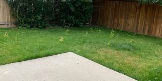 3 Bedroom | 2 Bathroom Single-Family Home Gallery 6
