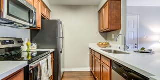 Mission Trails Gallery 26