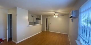 502 W Alabama Gallery 4