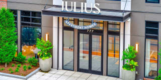 Julius Gallery 35